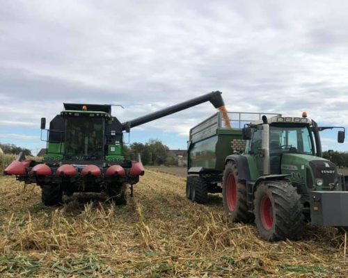 FB_IMG_1569963954753