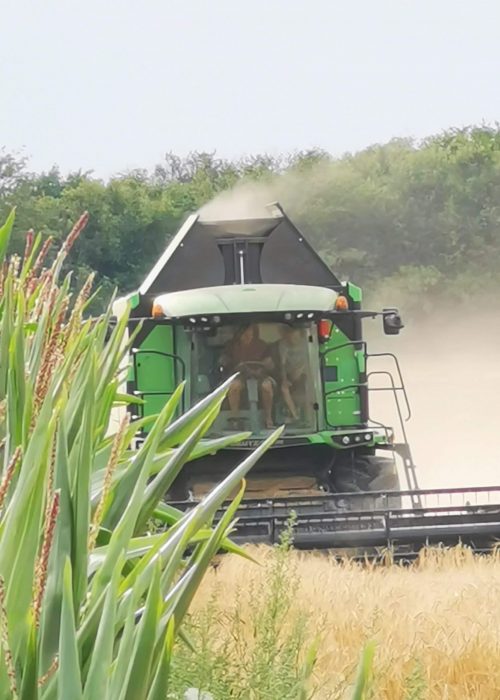 received_287105832549125